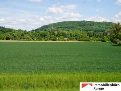Haus zum Kauf 385.000 € 8 Zimmer 200 m² 9.317 m² Grundstück Rinteln Rinteln 31737