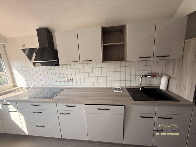Wohnung zur Miete 365 € 1 Zimmer 52 m² 3. Geschoss Stumsdorfer Straße 16 Radegast Südliches Anhalt 06369