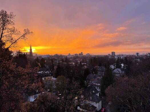 Penthouse zum Kauf 1.890.000 € 6 Zimmer 184 m² 3. Geschoss Neuburg Freiburg 79104