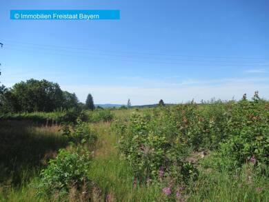 Grundstück zum Kauf provisionsfrei 6.300 m² Grundstück Nähe St 2207 Regberg Nordhalben 96365