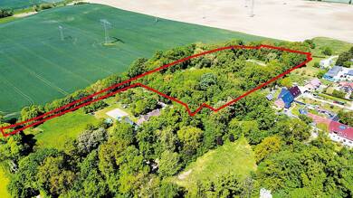 Grundstück zum Kauf 3.000 € 31.019 m² Grundstück Kastanienallee Angermünde Angermünde 16278