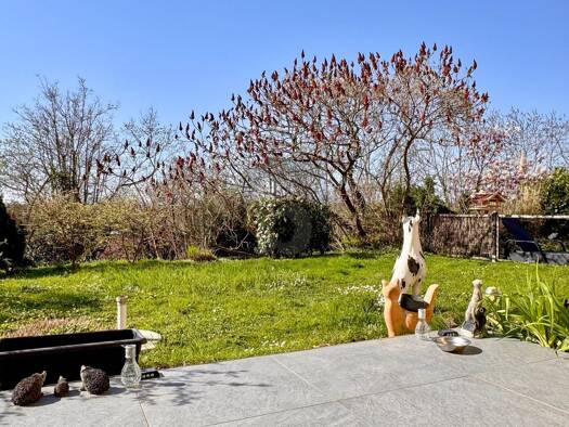 Studio zum Kauf 139.000 € 1 Zimmer 37 m² Bad Bellingen 79415