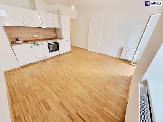 Wohnung zum Kauf 329.000 € 3 Zimmer 53,2 m² EG Bergsteiggasse Hernals 1170