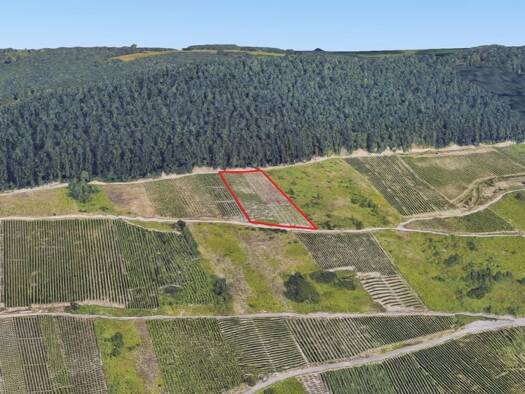 Grundstück zum Kauf provisionsfrei 10.000 € 2.703 m² Grundstück frei ab sofort Cochem Cochem 56856