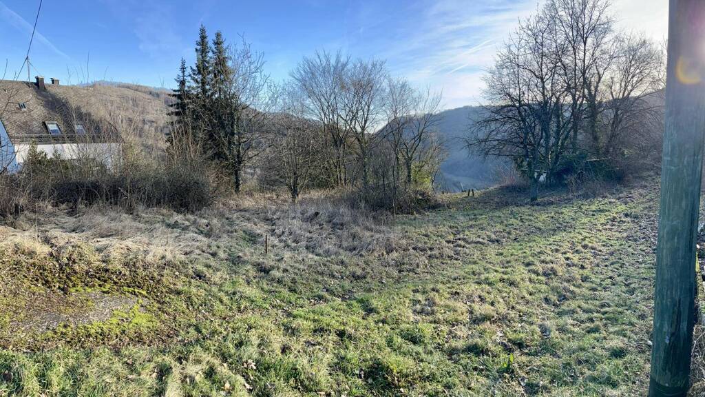 Grundstück zum Kauf 199.500 € 2.363 m² Grundstück Taben-Rodt 54441