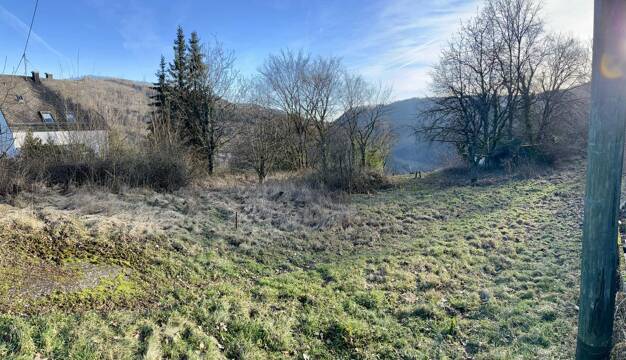 Grundstück zum Kauf 199.500 € 2.363 m² Grundstück Taben-Rodt 54441