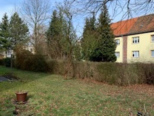 Wohnung zur Miete 400 € 3 Zimmer 67,8 m² EG frei ab sofort Finsterwalde 03238