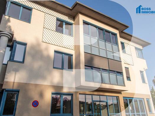 Büro zur Miete 450 € 1 Zimmer 45 m² Bürofläche Am Ottstorfer Berg 50 Thalheim bei Wels 4600