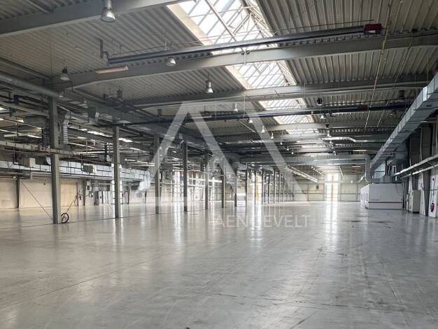 Halle/Industriefläche zur Miete provisionsfrei 7.339,3 m² Lagerfläche teilbar ab 1.443 m² Haldensleben Haldensleben 39340