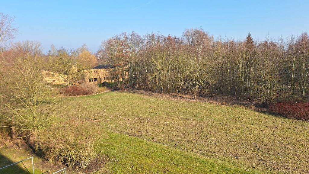 Wohnung zum Kauf 129.500 € 2 Zimmer 52,3 m² Schönwalde II Greifswald 17491