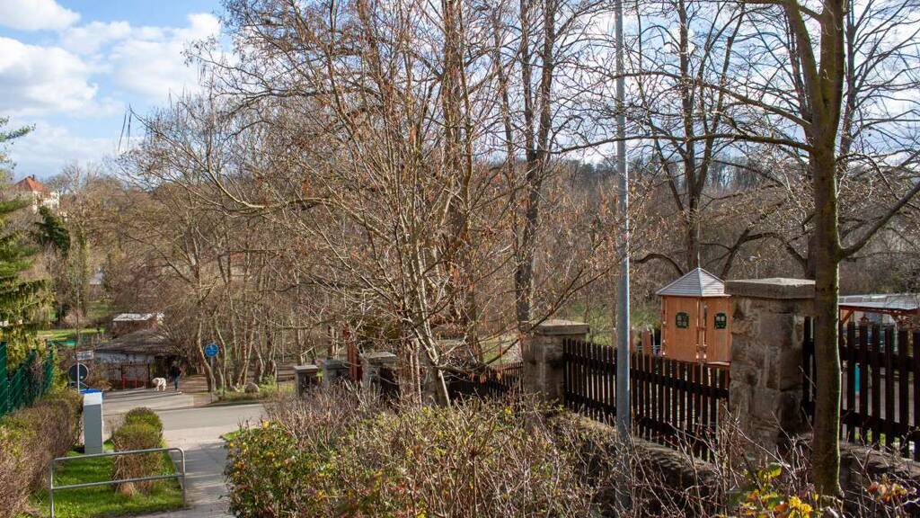 Grundstück zum Kauf 120.000 € 3.345 m² Grundstück Aschersleben 06449