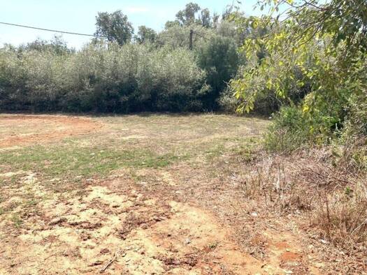 Wohn- und Gewerbegrundstück zum Kauf 180.000 € Vejer de la Frontera 11150