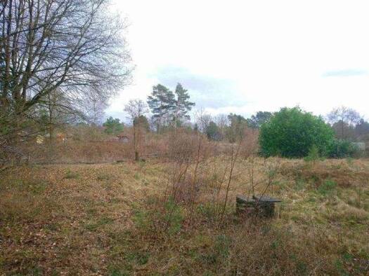Grundstück zum Kauf 65.000 € 10.000 m² Grundstück Langendamm Ribnitz-Damgarten 18311