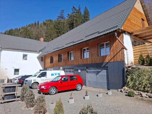 Mehrfamilienhaus zum Kauf 495.000 € 340 m² 1.563 m² Grundstück Leoben 8700