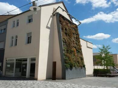 Laden zur Miete provisionsfrei 132 m² Verkaufsfläche Stummstr. 28 Dillingen Dillingen/Saar 66763