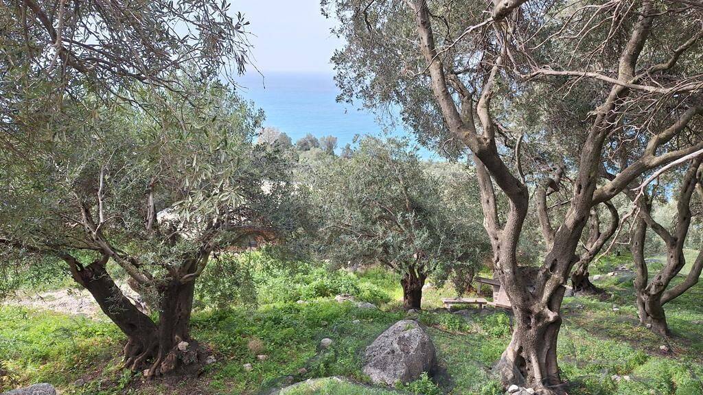 Land-/Forstwirtschaft zum Kauf 110.000 € 980 m² Grundstück Korfu