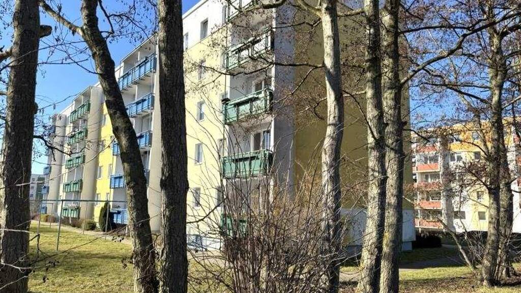 Studio zur Miete 215 € 1 Zimmer 26,1 m² Sagard 18551