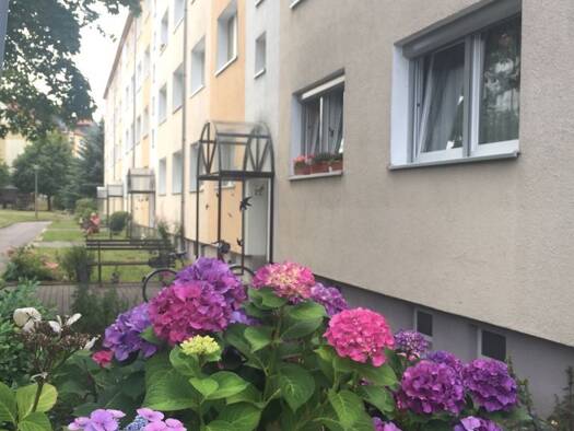 Wohnung zur Miete 282 € 1,5 Zimmer 47 m² 1. Geschoss frei ab sofort Wettiner Ring 22 Colditz Colditz 04680