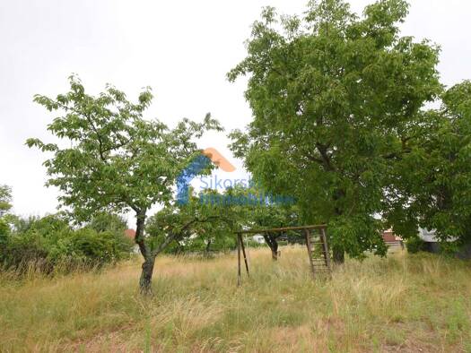 Grundstück zum Kauf 50.000 € 581 m² Grundstück Förstereistr. 11 Fünfeichen 15890