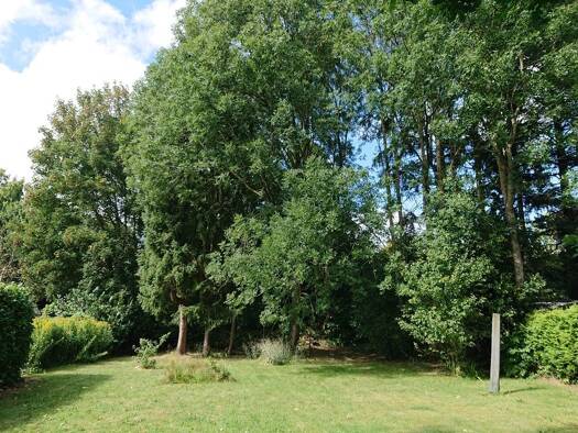 Grundstück zum Kauf 279.000 € 881 m² Grundstück Itzehoe 25524