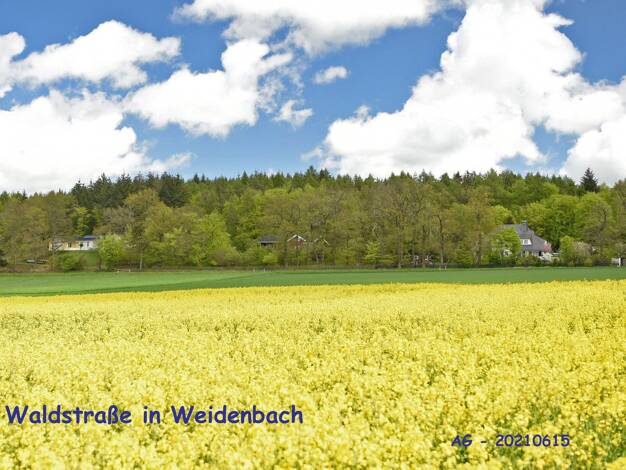 Grundstück zum Kauf provisionsfrei 540.000 € 3.000 m² Grundstück Waldstraße 7 Weidenbach 56355