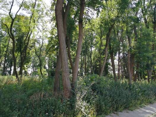 Grundstück zum Kauf 495.000 € 600 m² Grundstück Teltow 14513