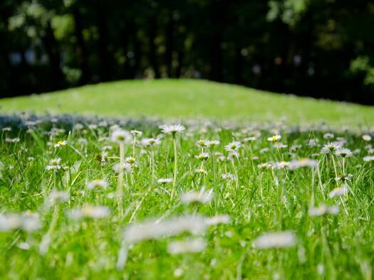 Grundstück zum Kauf 695.000 € 761 m² Grundstück Trudering-Riem München 81829