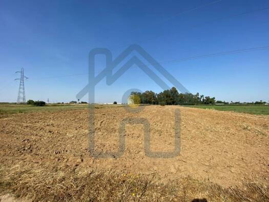 Acker-/Waldstück zum Kauf 90.000 € Los Palacios y Villafranca 41720