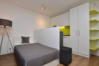 Wohnung zur Miete Wohnen auf Zeit 665 € 1 Zimmer 22 m² frei ab 01.09.2025 Frauenland Würzburg 97074