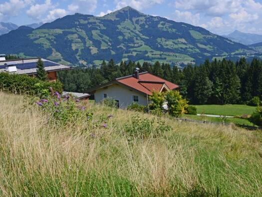 Grundstück zum Kauf 968.400 € 807 m² Grundstück Hopfgarten im Brixental 6361