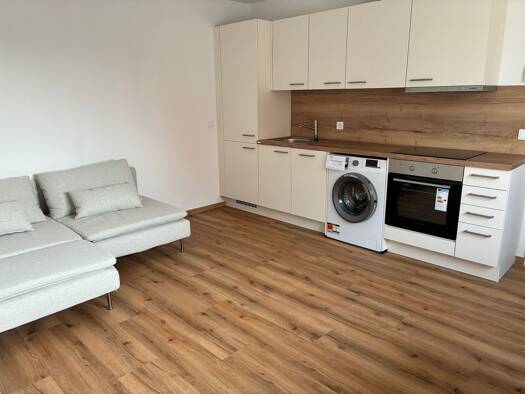 Wohnung zur Miete 850 € 2 Zimmer 40 m² frei ab sofort Münchaurach Aurachtal 91086
