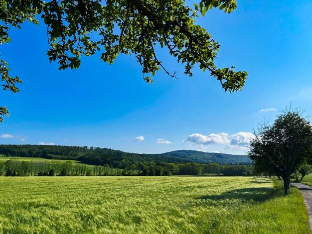 Bauernhaus zum Kauf 485.000 € 5 Zimmer 150 m² 100.658 m² Grundstück Putzkau Schmölln-Putzkau 01844