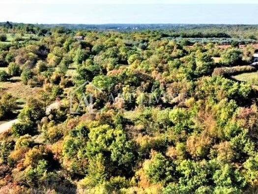 Acker-/Waldstück zum Kauf 120.600 € Umag Umag 52470