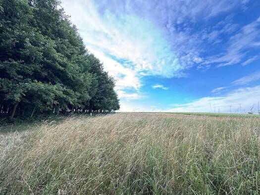 Land-/Forstwirtschaft zum Kauf 11,17 € 27.405 m² Grundstück Sieghartskirchen 3041