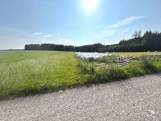 Land-/Forstwirtschaft zum Kauf 59.000 € 11.153 m² Grundstück Kirchhaslach Kirchhaslach / Greimeltshofen 87755