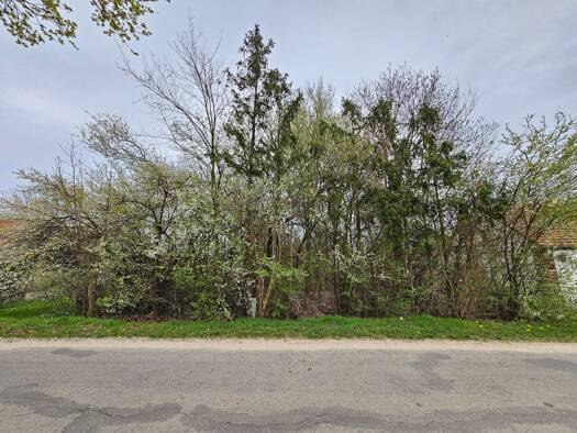 Grundstück zum Kauf 34.000 € 1.920 m² Grundstück Letschin Letschin 15324