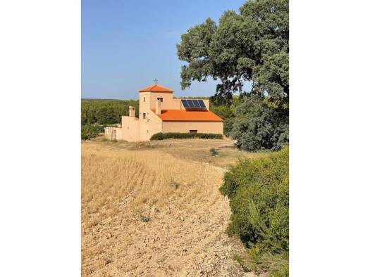 Acker-/Waldstück zum Kauf 560.000 € Almansa 02640