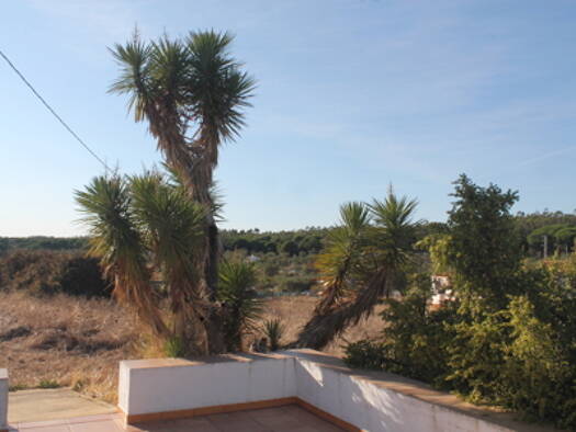 Bauernhaus zum Kauf 135.000 € 5 Zimmer 120 m² 4.000 m² Grundstück Bollullos par del Condado 21710