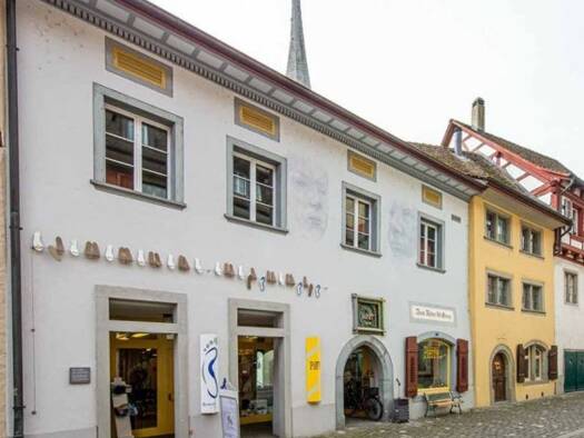 Einfamilienhaus zum Kauf 3.537.900 € 7 Zimmer 421 m² 320 m² Grundstück Stein am Rhein 8260