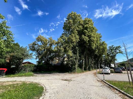 Wohnung zum Kauf - Erstbezug provisionsfrei 297.232 € 3 Zimmer 66,8 m² EG Nettingsdorf 4053