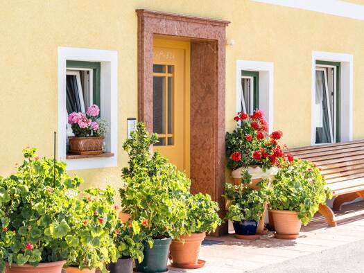 Wohnung zur Miete 510 € 1,5 Zimmer 42 m² Elsbethen 5061
