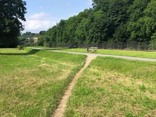 Grundstück zum Kauf - Erstbezug 52.000 € 800 m² Grundstück Greiz Greiz 07973