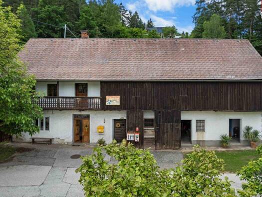 Bauernhof zum Kauf 99.000 € 889 m² Grundstück St. Radegund 9113