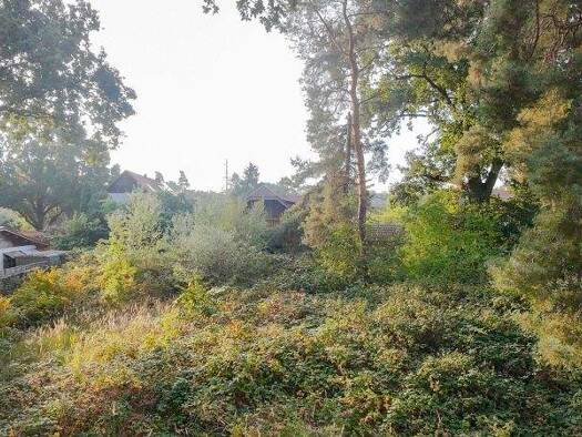 Grundstück zum Kauf 600.000 € 1.102 m² Grundstück Stahnsdorf 14532