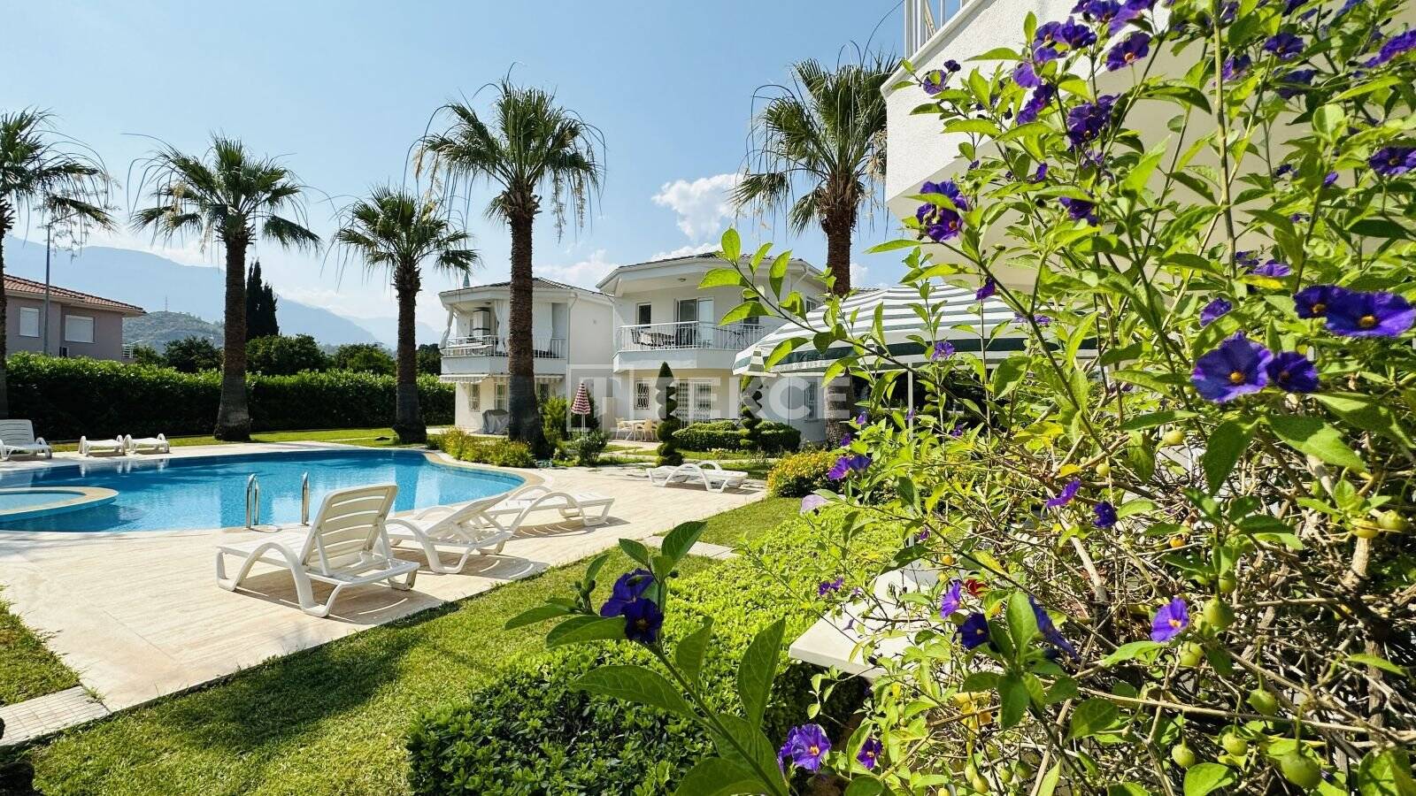 Immobilie in Berga/Elster - Möblierte Wohnung mit Waldblick im Çamyuva-Komplex - Bild 3