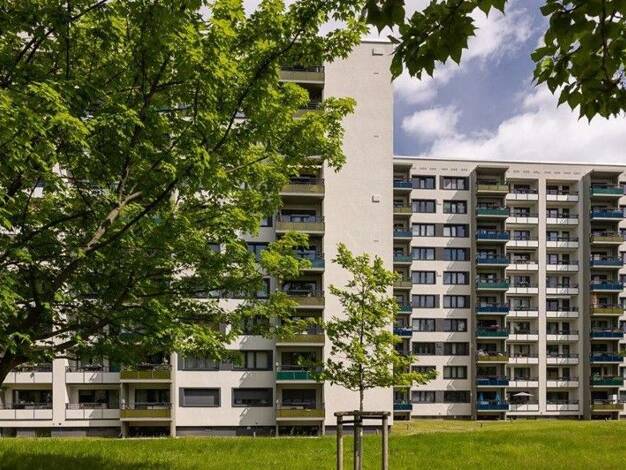 Studio zur Miete 347 € 1 Zimmer 35,4 m² frei ab 01.11.2026 Hochschulstraße 24 Südvorstadt-Ost Ortsamtsbereich Plauen 01069