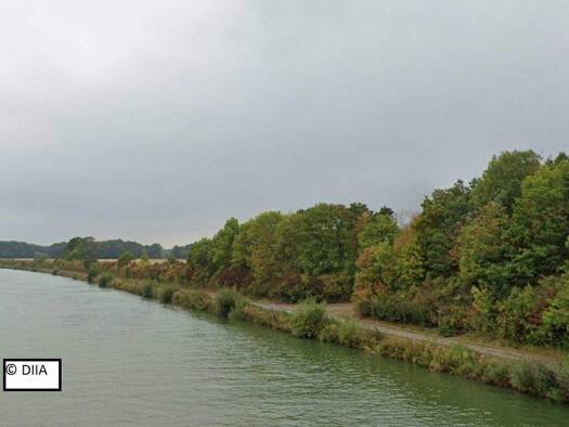 Grundstück zum Kauf 1.000 € 1.910 m² Grundstück Nordsehl 31717