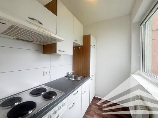 Wohnung zur Miete 429 € 1,5 Zimmer 29,3 m² 1. Geschoss Larnhauserweg 5 Leonding 4060