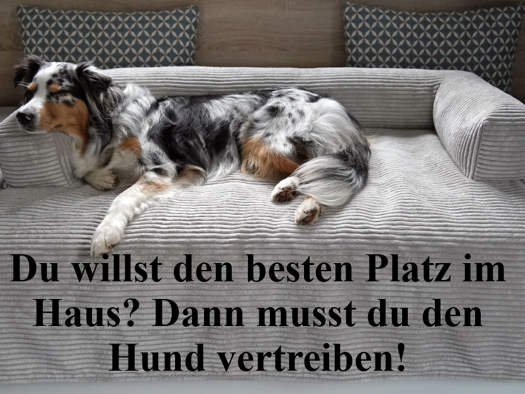 Reihenmittelhaus zum Kauf 335.000 € 5 Zimmer 130 m² 333 m² Grundstück Gymnich Erftstadt 50374