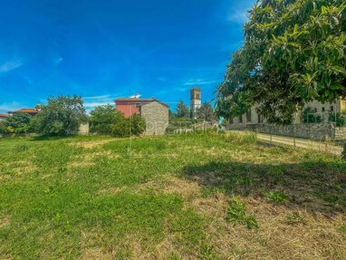 Land-/Forstwirtschaft zum Kauf 138.000 € Novigrad center